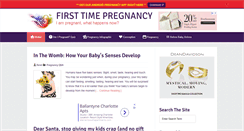 Desktop Screenshot of firsttimepregnancy.org